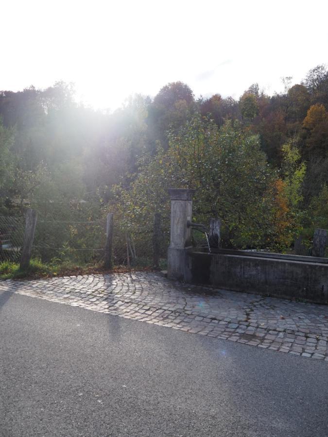 Ferienwohnung Dinkelbergblick Wehr (Baden-Wurttemberg) Exterior foto